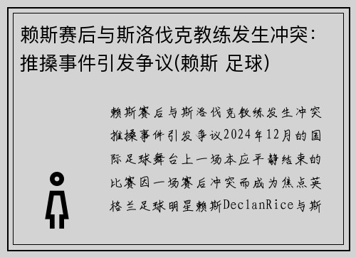 赖斯赛后与斯洛伐克教练发生冲突：推搡事件引发争议(赖斯 足球)